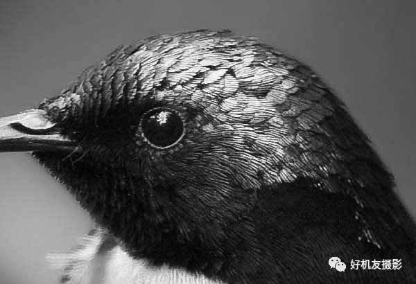 清晰度和锐化对比图,清晰度和锐化两个都需要调整么