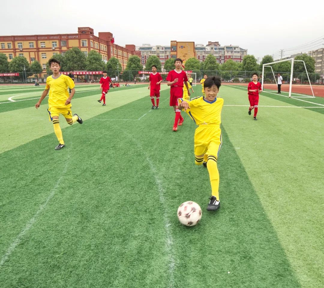 体现素质教育成果的照片,展现教育新变化的图片