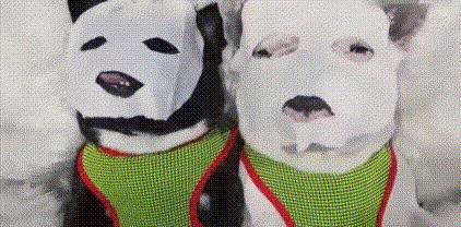 千万不要乱买面膜,别乱买面膜