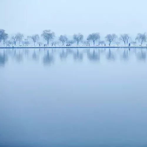 书讯最新消息,书讯大全免费阅读