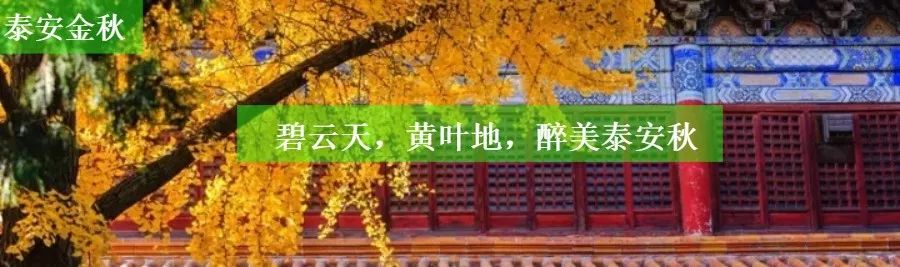 宁阳景区推荐,宁阳八大景区都有哪些