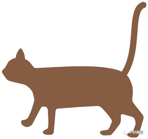 表白｜金院迎新跳拉丁的小姐姐有男朋友了吗，可以交个朋友吗