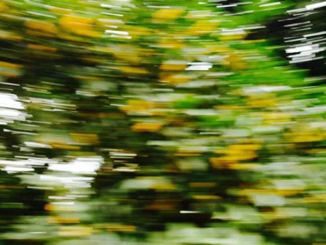 桂花味道的香水最好的,桂花味浓一点的香水