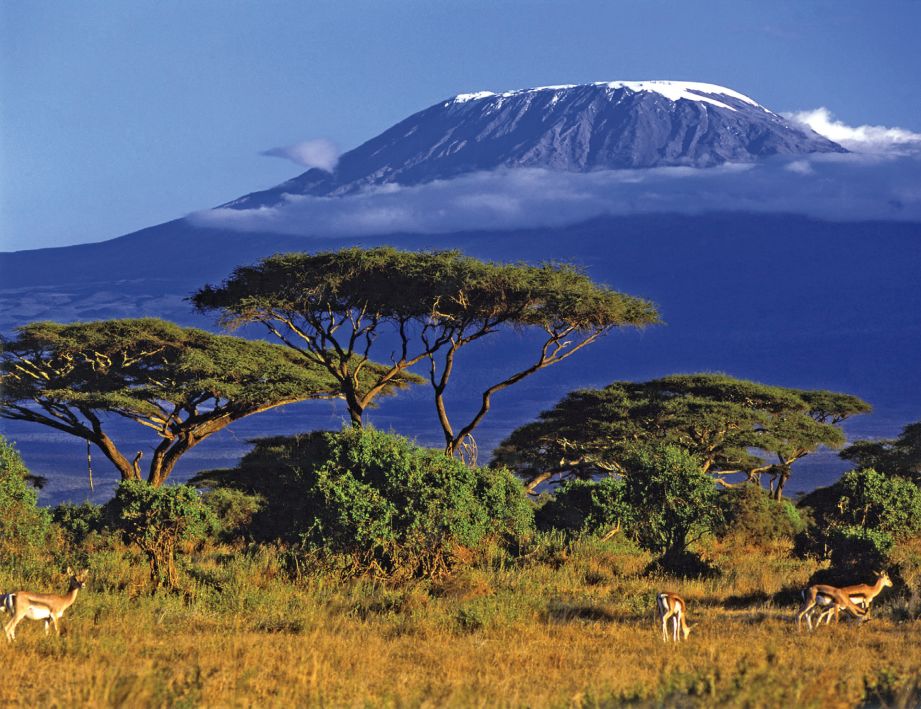 登顶乞力马扎罗要多久 (登顶乞力马扎罗需要花费多少)