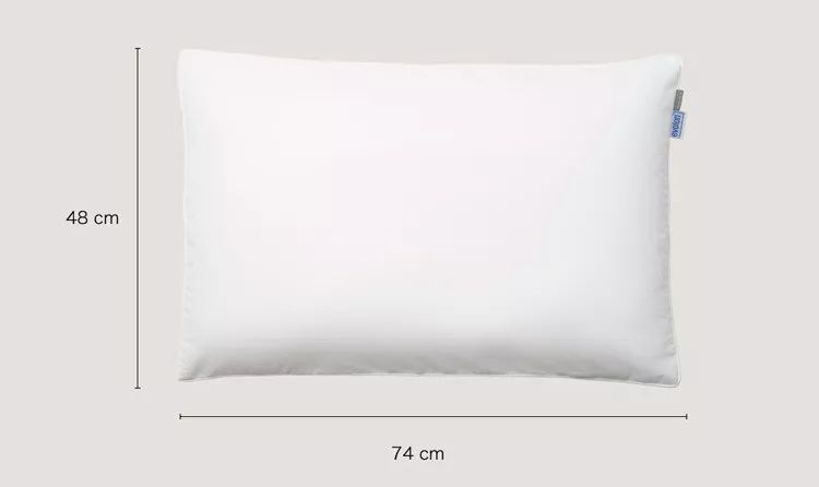 德国冰丝枕套,枕套德国蚕丝