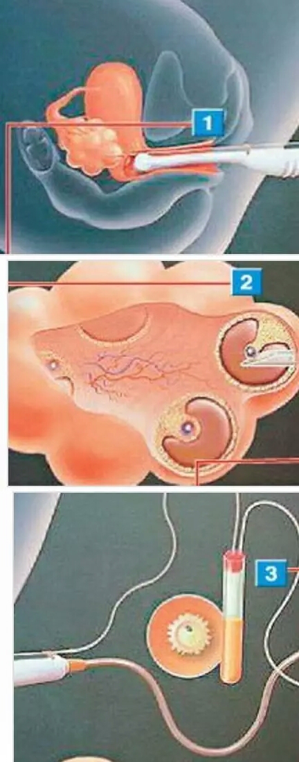 滨州某大学女厕所现“捐卵”小广告，*子骗**盯上女大学生！