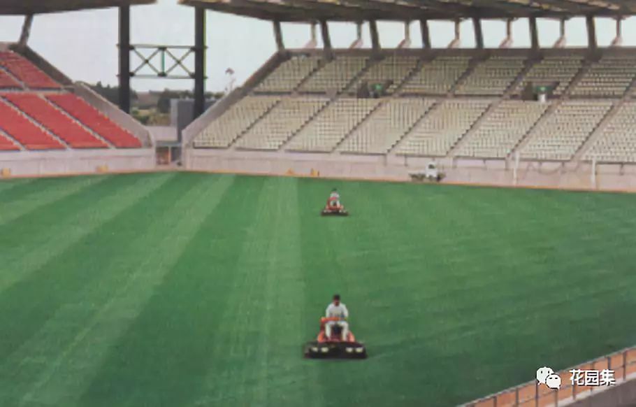 苏州人造草坪运动场养护服务,公园草坪怎么养护效果最好