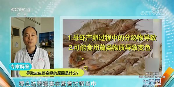 冻虾呈蓝色绿色能吃吗,冻虾变蓝绿色还能吃吗