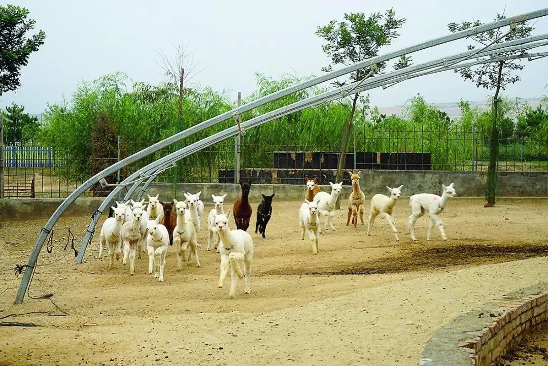 「时代新人」邓昕:做个自己都不敢想象的自己