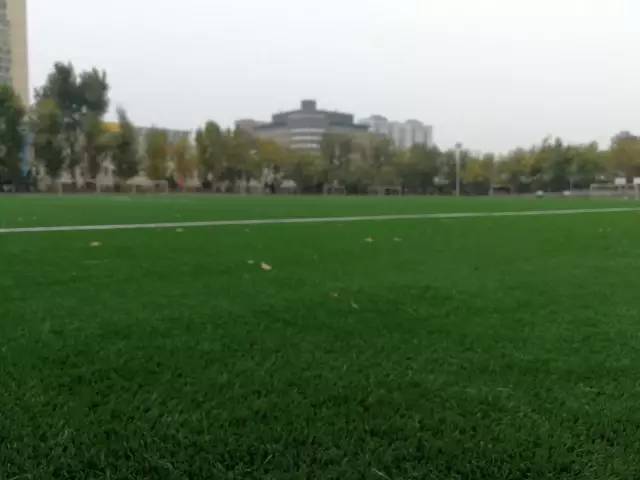 大连东北路小学南关岭足球比赛,大连东北路小学足球训练