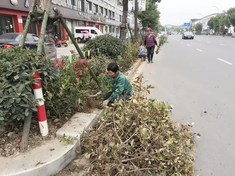 安昌最近刑事案件,安昌一周发生的事