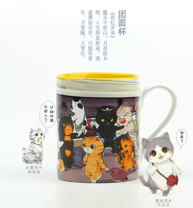 为什么现在年轻人喜欢养猫,为什么现在的年轻人都喜欢养猫咪