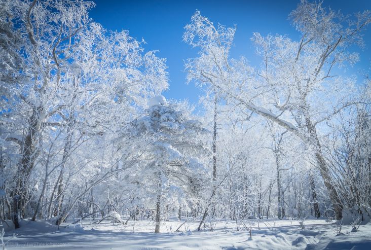 刘烨旅游,刘烨一家四口出游