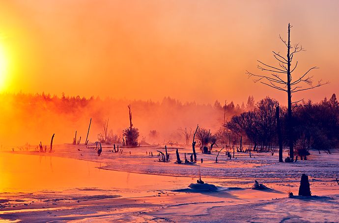 刘烨旅游,刘烨一家四口出游
