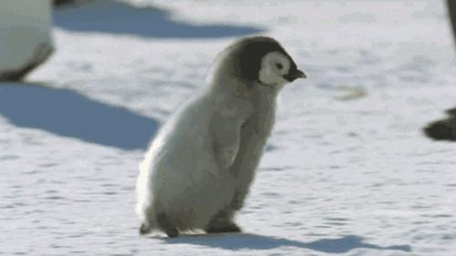 暖气使用时间长了,暖气放气放到什么程度是没有气了