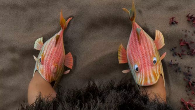 ugg是出什么事了么,ugg被爆出惊天丑闻