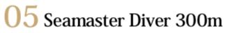 潜水表前10排名,潜水表有哪些特色