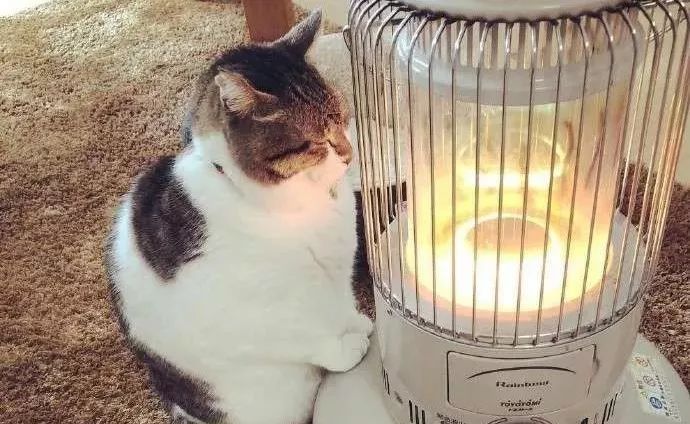 给跪了！在办公室用公司饮水机煮火锅，奇葩网红还用各种工具烹饪食物……这种脑洞大开要不得！