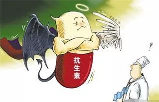 男童半年反复用抗生素,7岁男童因滥用抗生素