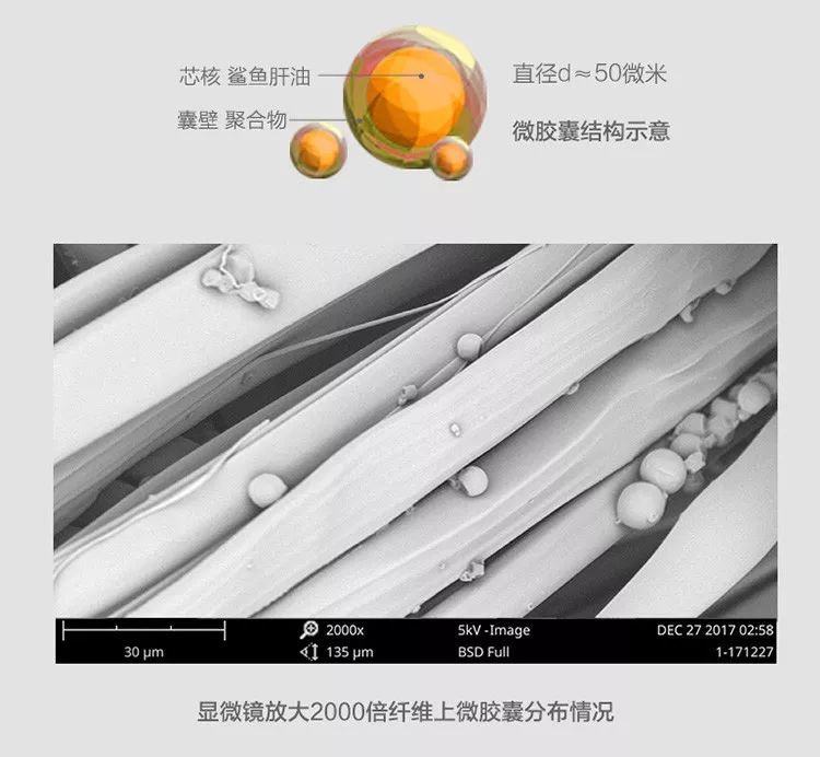 有了羽绒服不会冷了,有了羽绒服不会冷吗