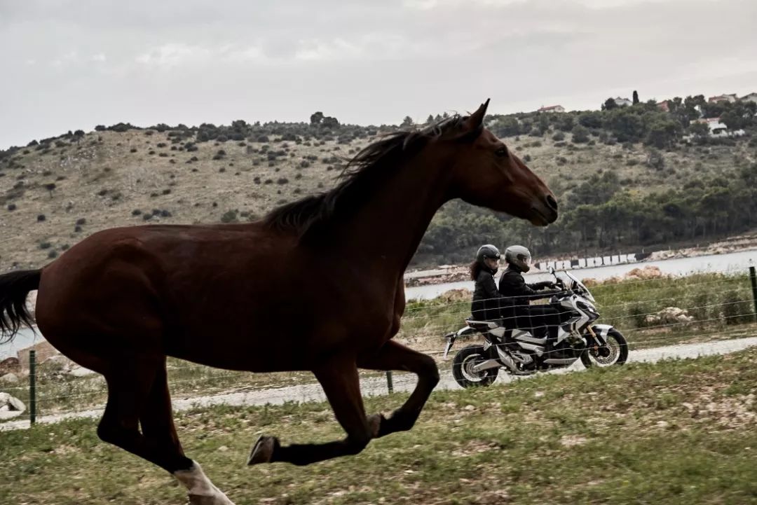 2022即将上市本田adv,本田新x-adv将上市