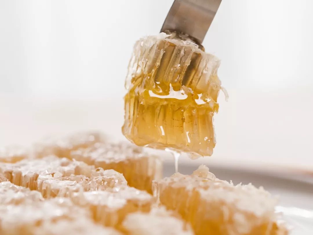 一条精选｜深山里的天然蜂巢蜜，可以解油腻的纯植物茶