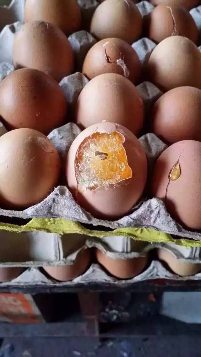 冬天家里水管被冻住怎么办,家里水管被冻需要打开水龙头吗