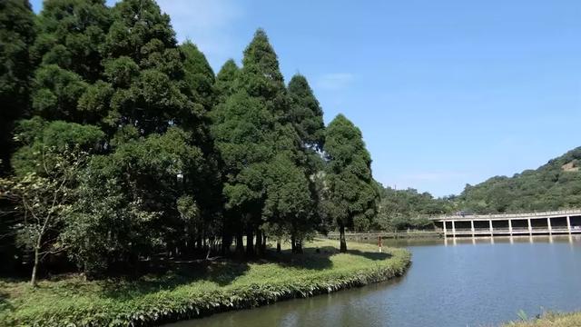 徕卡大光圈镜头,松下lx10对比徕卡相机