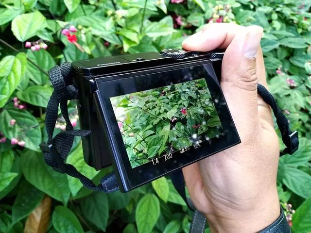 徕卡大光圈镜头,松下lx10对比徕卡相机