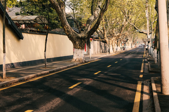 南京最美赏秋地点,南京赏秋之旅