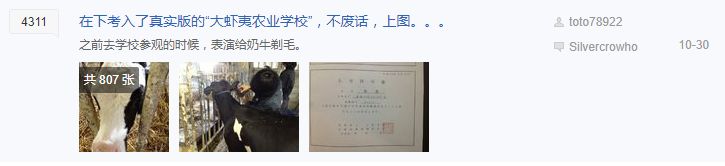 她的《钢炼》明明零差评，为什么还要去养猪？