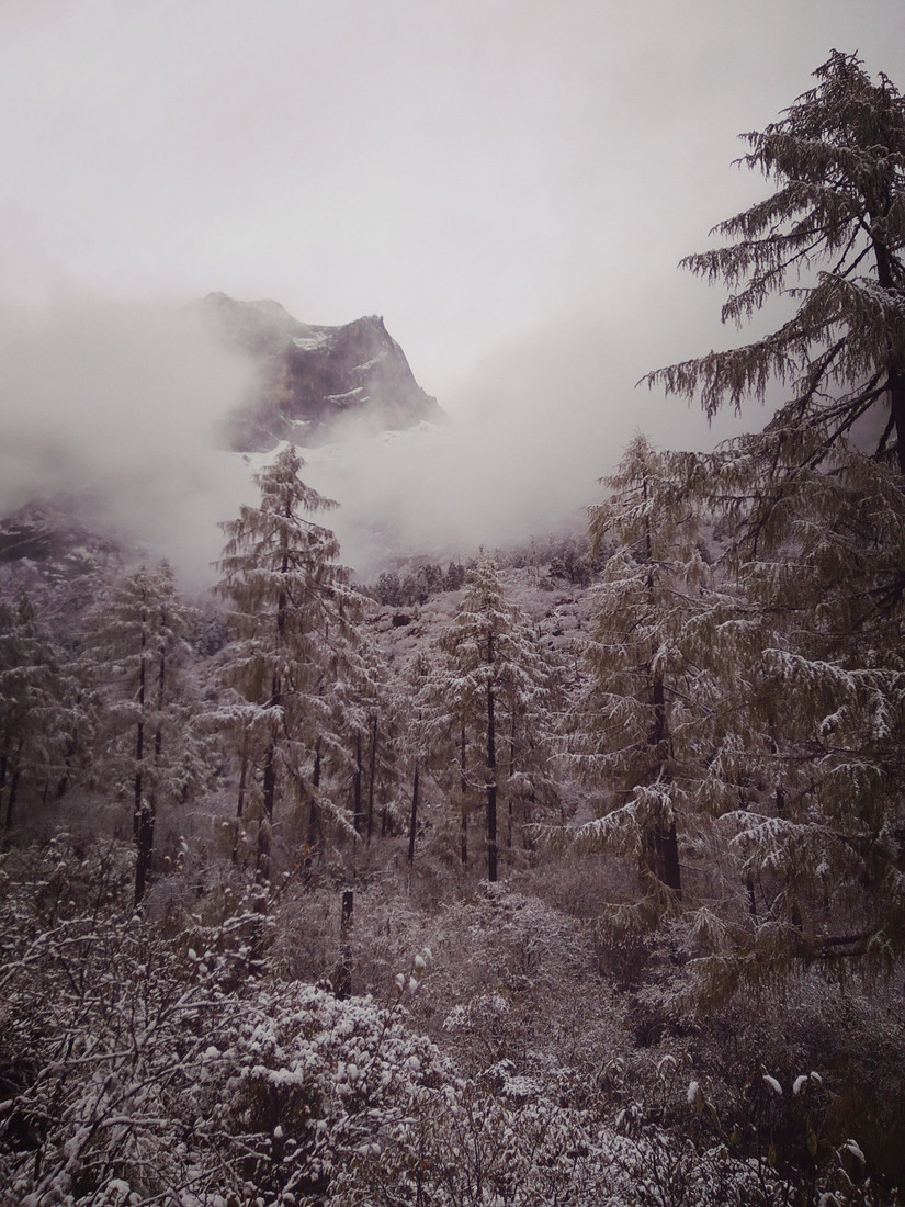 国庆流水账日记,中秋国庆流水账
