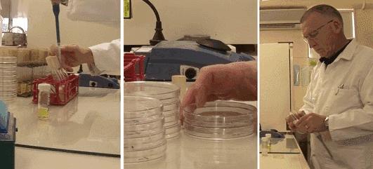 它被称为闭着眼都可以入的新西兰好物,小红书上已抢疯!