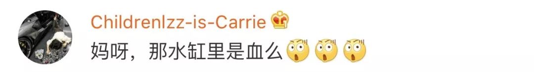 谢依霖怀孕晒b超照散发母爱光环,谢依霖讲述水中分娩