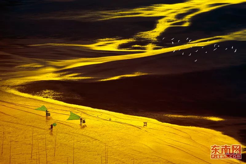 2022宁德美食节活动,福建宁德福安运动会表演