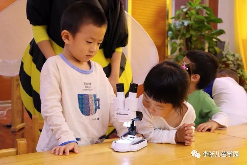 去幼儿园培训让我学到了什么,去幼儿园体验一天老师