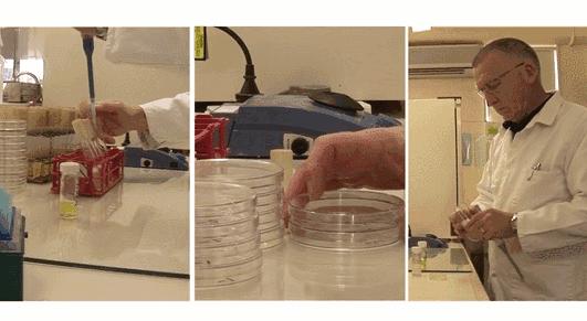 “男朋友的脚堪比生化*器武**!我得治治他!”