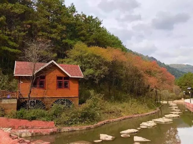 延安黄陵：醉美金秋仙遇黄陵