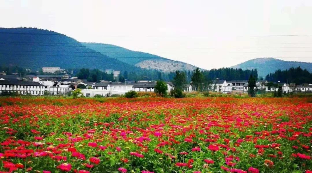 徐州秋景哪个地方最好看,徐州周边赏秋景的地方