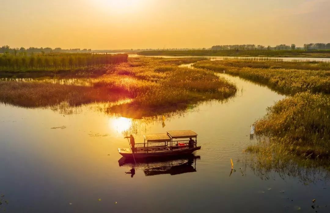 徐州秋景哪个地方最好看,徐州周边赏秋景的地方