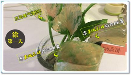 气垫推荐混干皮公认好用第一名,气垫推荐公认好用第一名黑黄皮