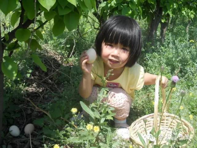 韵味长沙优惠套餐,游玩特价宁乡