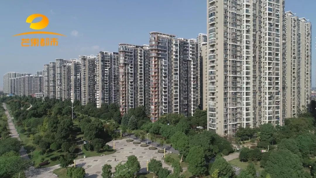 长沙市湘江世纪城业主委员会成立,长沙湘江世纪城几个业委会