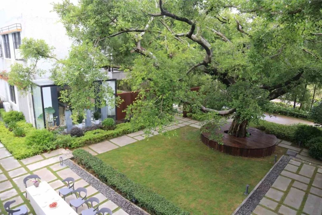 斗门为什么叫斗门,外地人眼中的斗门