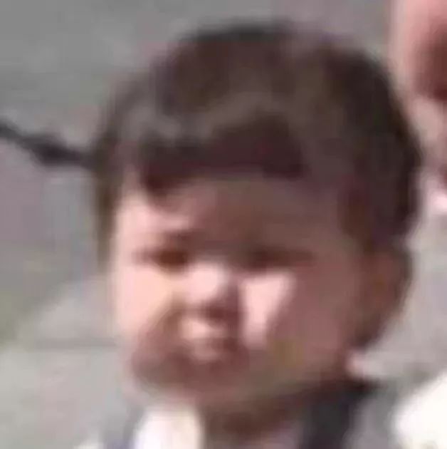 双十一剁手排行哪里看,2020双十一剁手排行榜