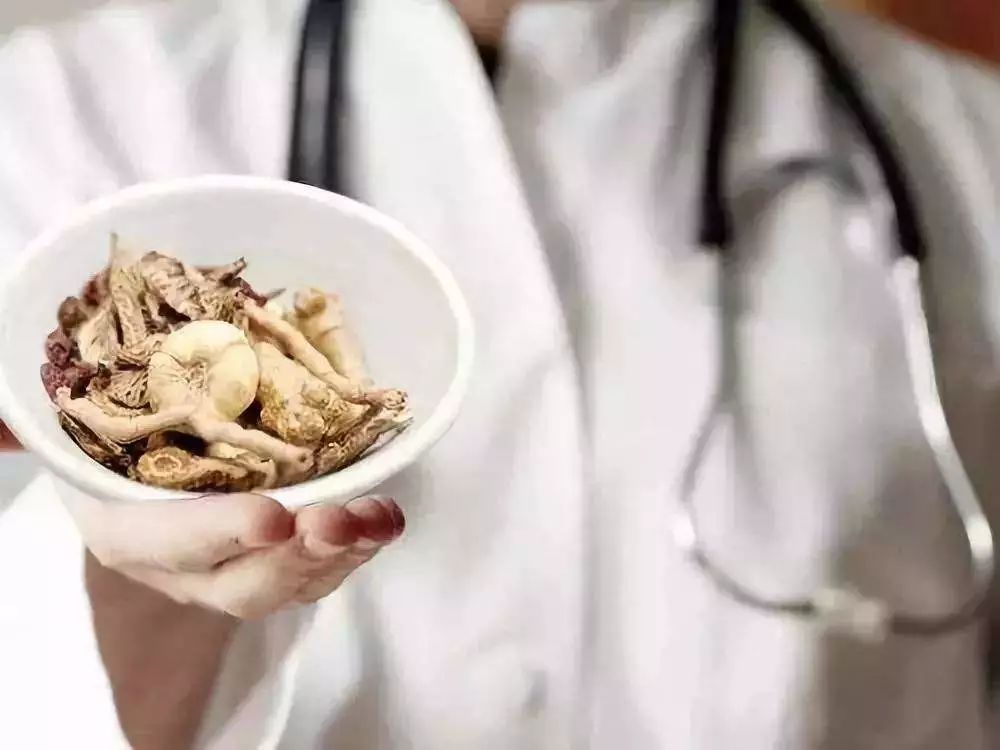 宁波市中医专家排名,宁波国家级名老中医有几位