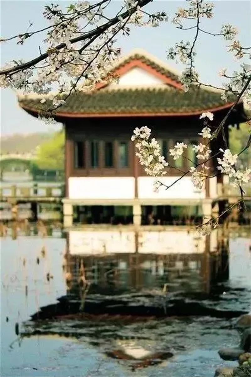 中国古典园林的诗画意境,中式园林画意