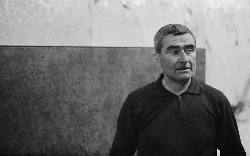 阿尔贝托布里诺利,阿尔贝托·布里尼奥利