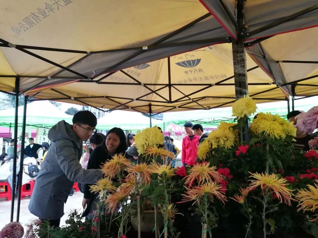 社团文化节｜这些精彩，少了你怎能行？