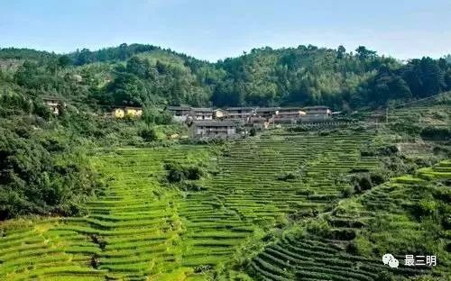 福建三明返乡人员最新政策,三明市人才返乡政策